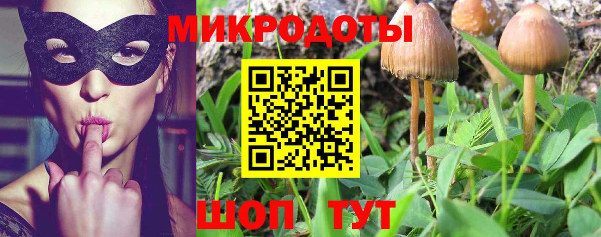 Псилоцибиновые грибы Cubensis  Галлюциногенные грибы Cubensis  Партизанск  Вход с VPN 