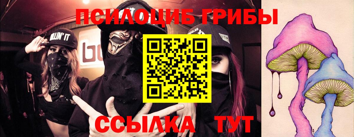 Псилоцибиновые грибы Magic Shrooms Партизанск